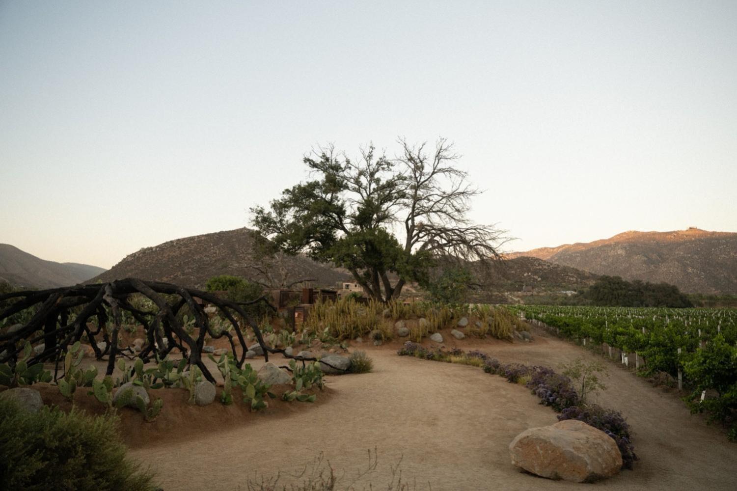 Bruma Wine Resort Valle de Guadalupe Exterior photo